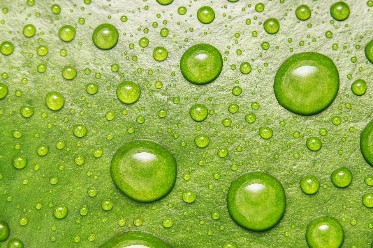 7 motivi per cui Cloropure Gocce è il miglior integratore liquido